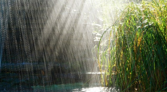 Hạnh phúc ở đây lúc này