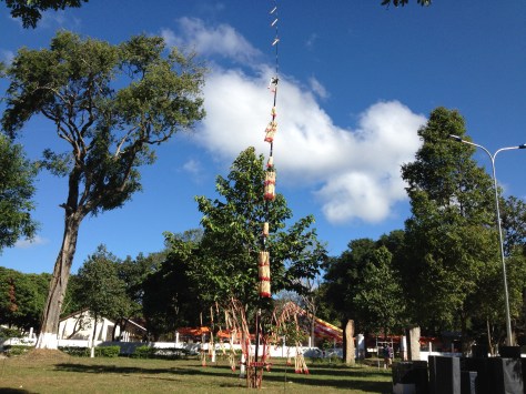 2/ Ảnh cây nêu cao 20 mét của người sắc tộc Bana trong sân Tòa Giám mục Kontum trong ngày lễ Tấn phong Giám mục Kontum 2015.