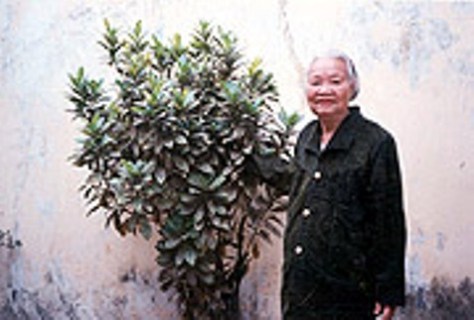 Bà Mộng Cầm lúc sinh thời.