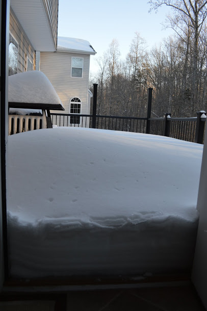 Sáng chủ nhật, Jan 25, 2016, back porch (sân nổi sau nhà) 