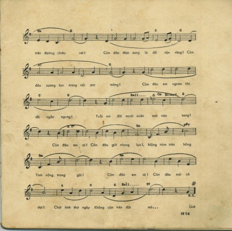 luutronglu_Hoa rụng ven sông2