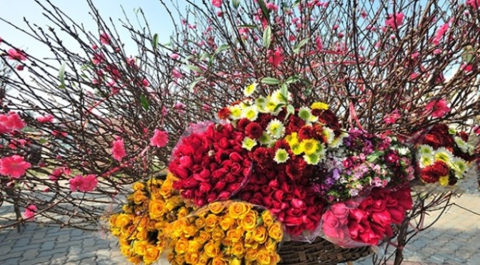 Nhớ Tết Hà Nội