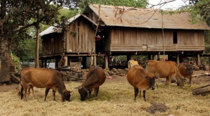 Sợ bị Chúa phạt không?