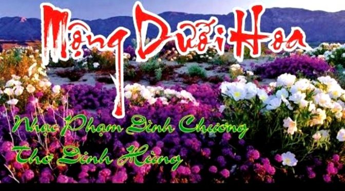 Tân Nhạc VN – Thơ Phổ Nhạc – “Mộng Dưới Hoa” – Đinh Hùng & Phạm Đình Chương