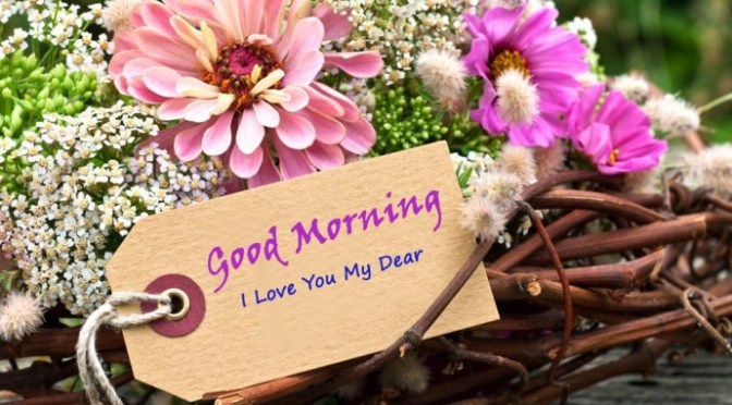 Khởi đầu ngày mới tươi đẹp