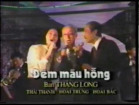 phamdinhchuong_đêm màu hồng