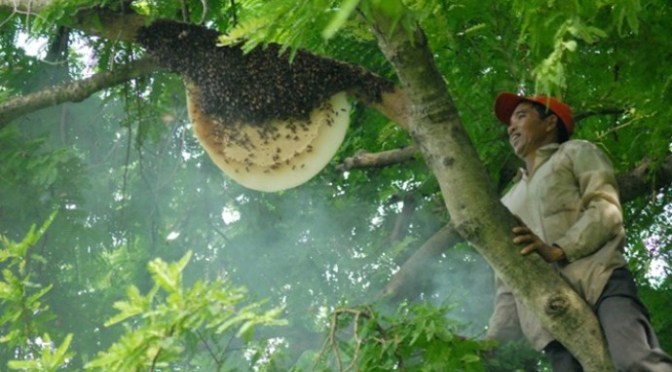 Người phụ nữ hạnh phúc nhất