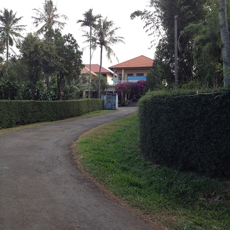 2/ Ảnh con đường dẫn vào phòng tiếp khách của Tu viện NVHB _ Bmt