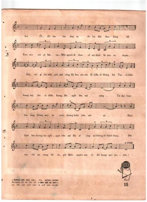 huuloan_Những Đồi Hoa Sim3