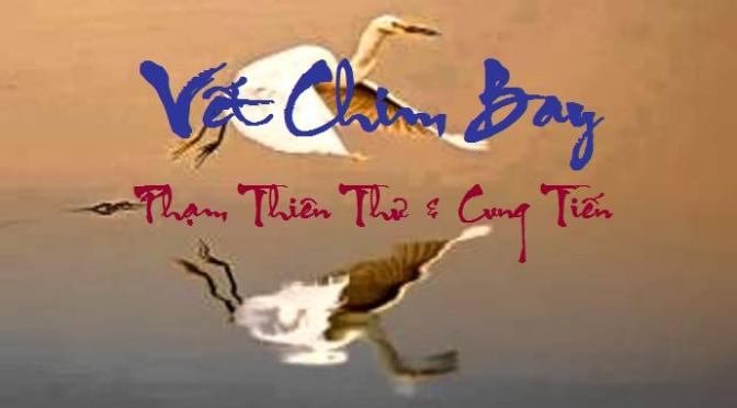 Tân Nhạc VN – Thơ Phổ Nhạc – “Vết Chim Bay” – Phạm Thiên Thư & Cung Tiến