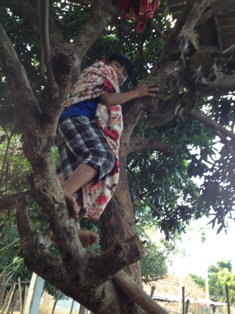 1/ Ảnh em Thăl người sắc tộc Bana quàng theo cái mền trèo lên cây để ngủ. Cây này mọc sát nhà bếp của nhà xứ Konđúp Kontum.