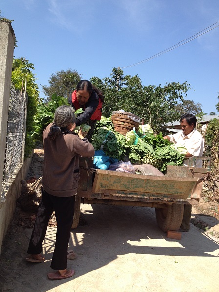 Ảnh bố Thiếu, mẹ E và mẹ Hreng giúp các Yăh chở rau qua cho bên xóm Đào