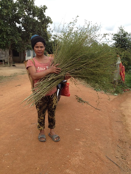 1/ Ảnh mẹ Nghi bên xóm Đào đi làm rãy về với một bó cây chổi trên tay.