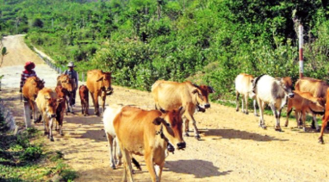 Chuyện nghiêm trọng