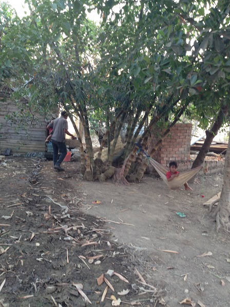 Bụi cây sau nhà của bố mẹ Niel bên xóm Đào