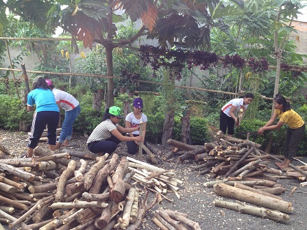 1/ Các em nữ học sinh Lưu trú lớp 12 chặt củi trong giờ lao động.