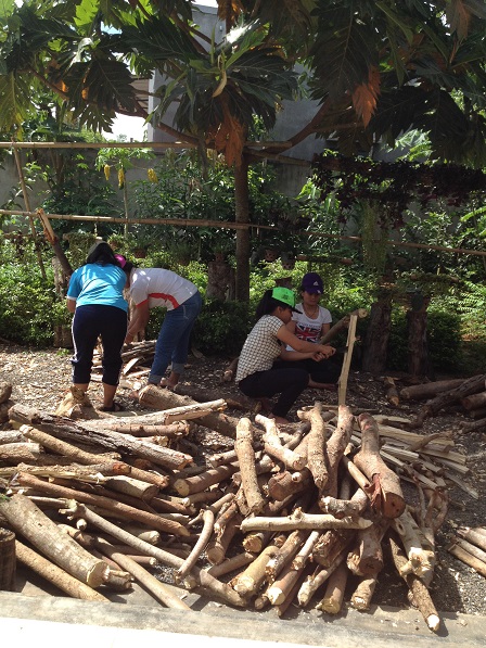 2/ Các em chặt củi dưới bóng cây Sakê trước nhà Lưu trú 