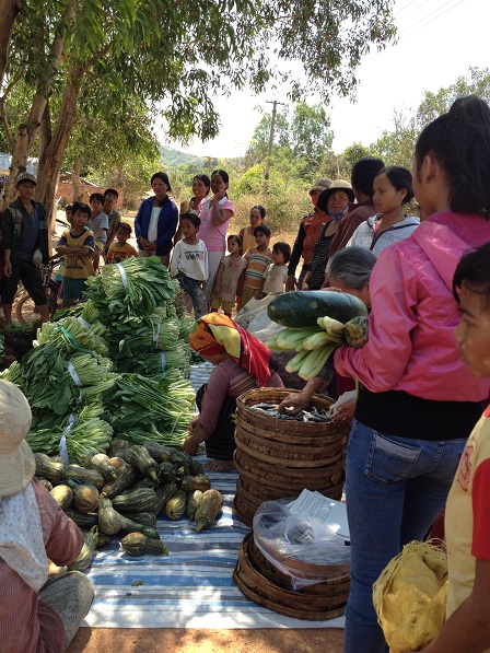 1/ Ảnh các Yăh mang củ quả, rau cá… Đến đặt dưới bóng mát của gốc cây trước nhà bố mẹ Thiếu, để chia sẻ cho các gia đình bên xóm Đào.