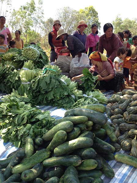 2/ Ảnh các Yăh nhờ các mẹ sắp xếp theo từng loại rau quả, để đến lúc chia cho anh em xóm Đào được dễ dàng nhanh chóng.