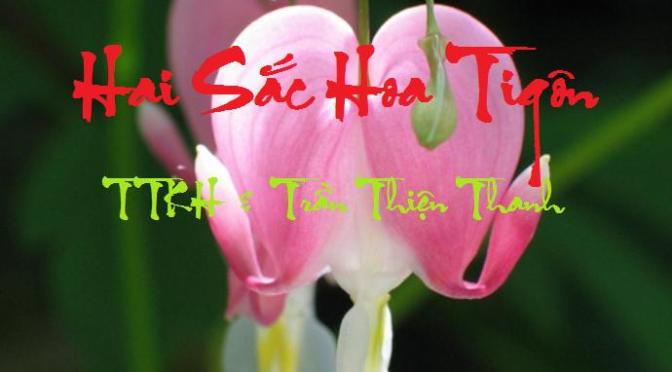 Tân Nhạc VN – Thơ Phổ Nhạc – “Hai Sắc Hoa Tigôn” – TTKH & Trần Thiện Thanh