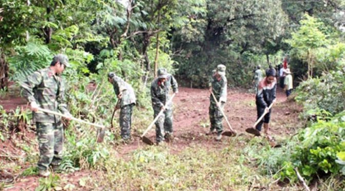 Con sẽ cầm cuốc mẹ ơi…!