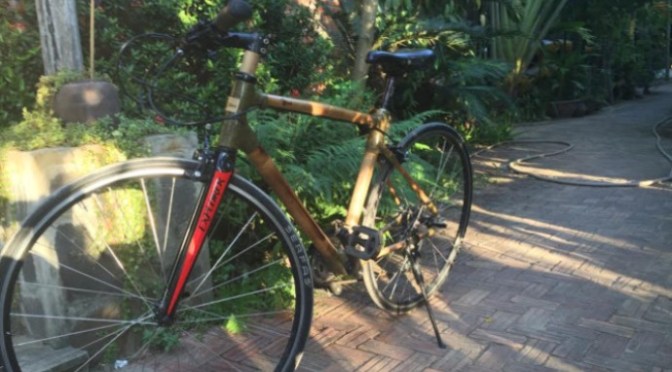 Dùng cái đầu cho thông minh