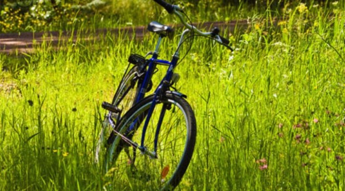 Cho chiếc xe đạp