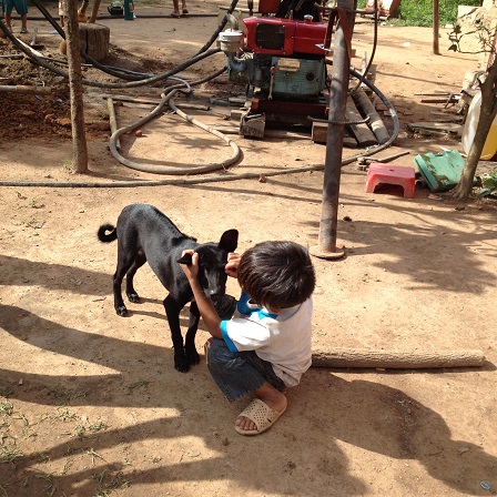 Em Hiển đang bắt bọ chét cho chó bên máy khoan giếng