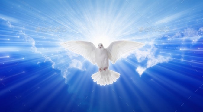 Gìn giữ tình yêu và hòa bình cho thế giới