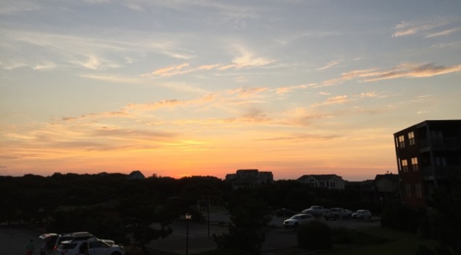 Ảnh sinh hoạt hằng ngày – Jul 10, 2016 – Ngựa hoang, Chim Ưng biển, Chuồn chuồn & Biển