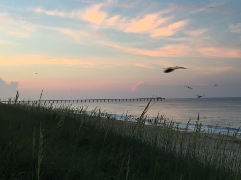 Mấy chú này còn to hơn.