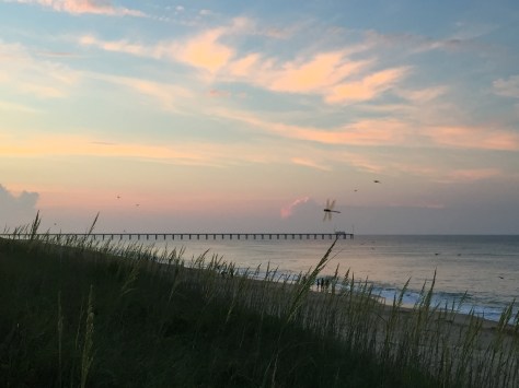 Lần đầu tiên mình thấy chuồn chuồn to và bay có đoàn như thế này. 