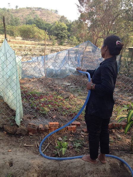 Vườn rau của mẹ Hreng mùa khô nắng