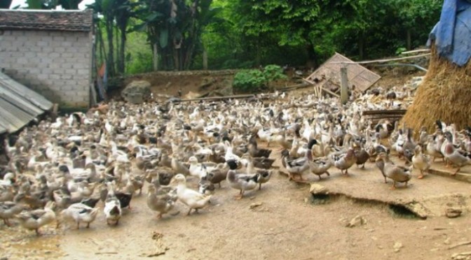 Chúa đang thử thách