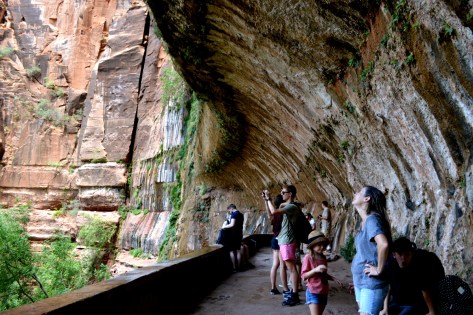 Khi bước vô mình bị nước làm ướt hết mà sao chchawrng thấy giọt nước nào trong ảnh hè.