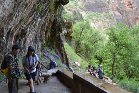 Anh Hoành nhà mình đang nhường đường cho du khách.