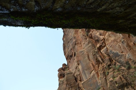 Chính giữa Life on The Vertical nhìn lên.