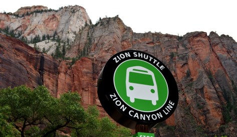 Quang cảnh quanh trạm xe bus.