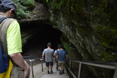 Đến giờ xuống động rồi.