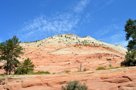 Trên đường vào Zion Canyon.