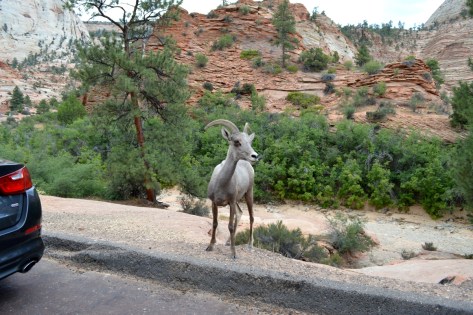 Rồi chú quay lại nhìn mình có vẻ như không vui lắm. Thế là mình liền nhảy phóc lên xe và chào tạm biệt chú.