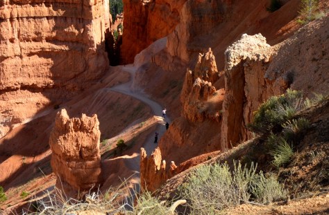 Đây là cận cảnh.