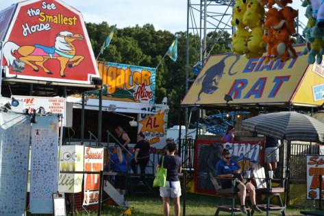 Khu vực Ngựa tí hon, Cá sấu, và Chuột khổng lồ. Muốn xem mấy chú này phải mua vé vô cửa.