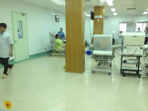 14030783_10209858675254460_1001797347_n