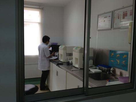 14037646_10209902105620192_1589104238_o