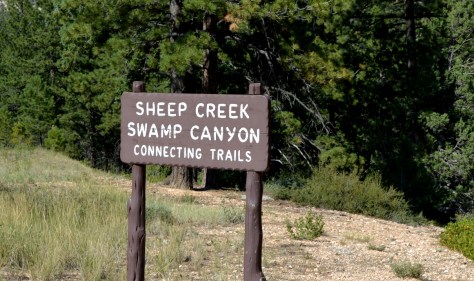 Khu vực Sheep Creek Swamp Canyon.