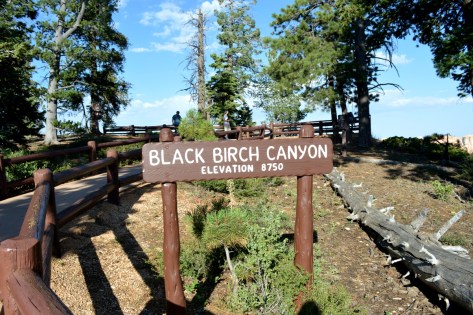 Khu vực Black Birch Canyon.