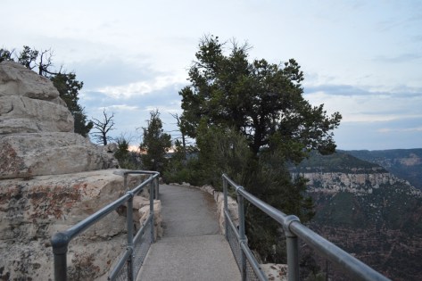 Còn phải qua cây cầu chơi vơi nối hai cạnh canyon này.