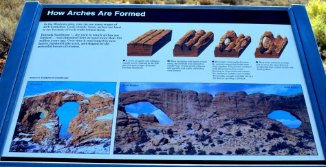 The Windows đây rồi.