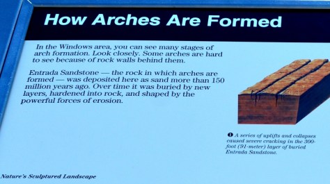 Thông tin về sự hình thành của các vòng cong.